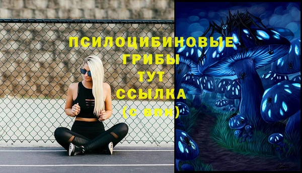 MESCALINE Арсеньев