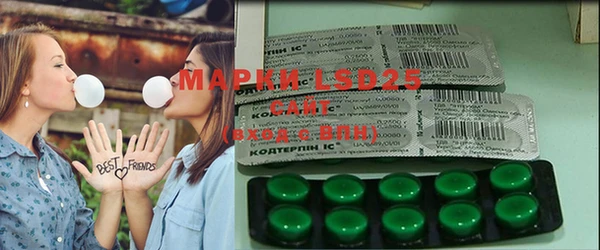 стаф Балахна